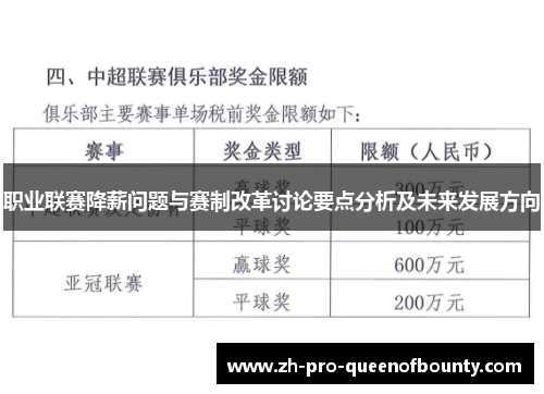 职业联赛降薪问题与赛制改革讨论要点分析及未来发展方向