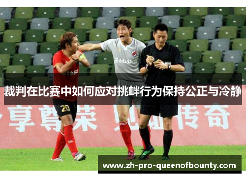 裁判在比赛中如何应对挑衅行为保持公正与冷静