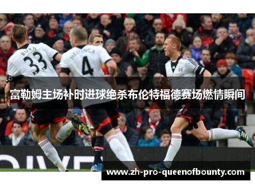 富勒姆主场补时进球绝杀布伦特福德赛场燃情瞬间