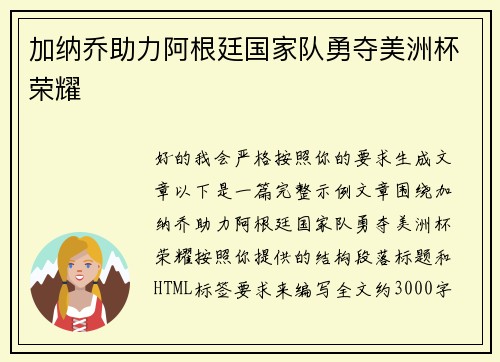 加纳乔助力阿根廷国家队勇夺美洲杯荣耀